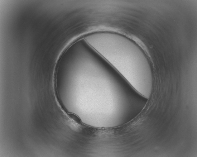 X0000072971183200607211022