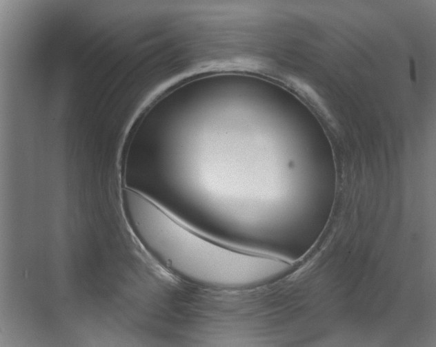 X0000072971184200607211022