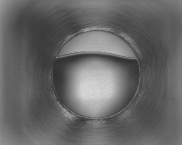 X0000072971185200607211022