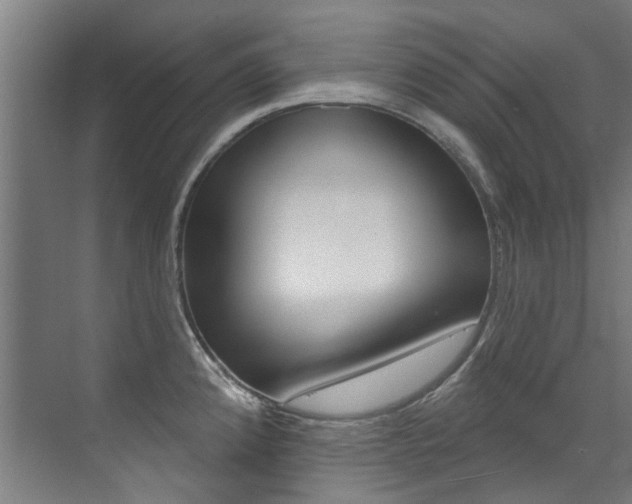 X0000072971192200607211022