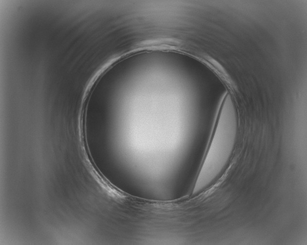 X0000072971196200607211022