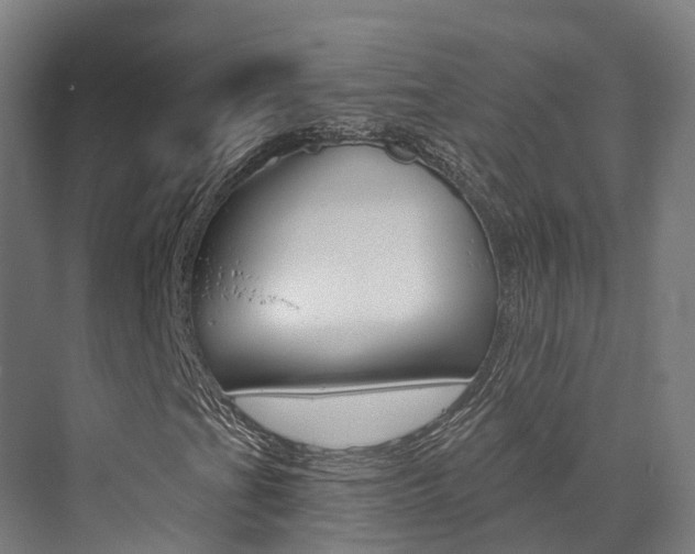 X0000072971201200607211021