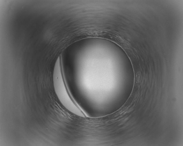 X0000072971202200607211021