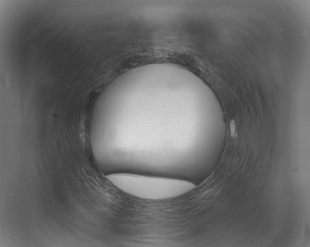 X0000072971203200607211021