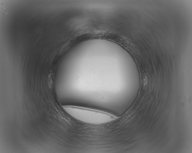 X0000072971204200607211021