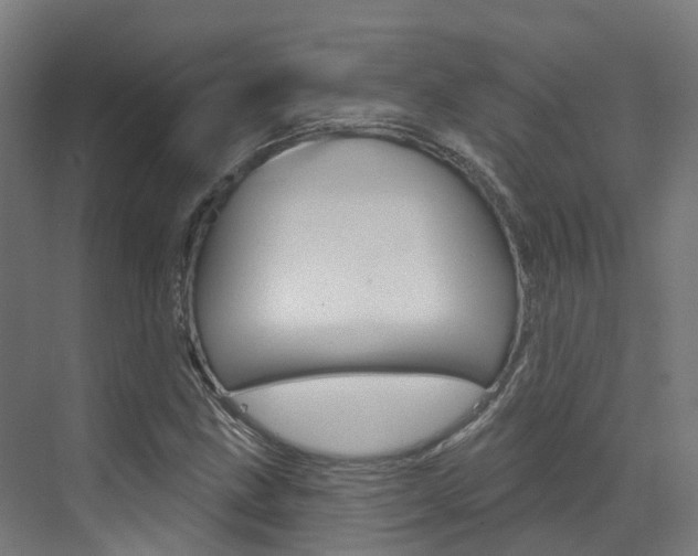 X0000072971211200607211022