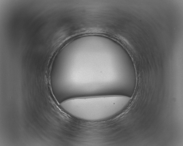 X0000072971212200607211022