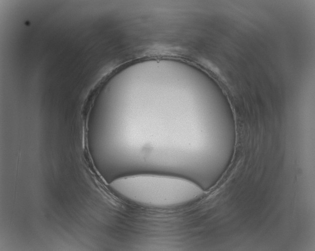 X0000072971219200607211022