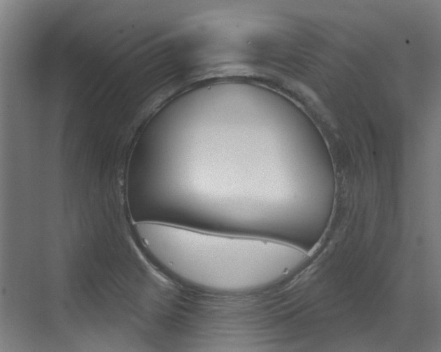 X0000072971225200607211022