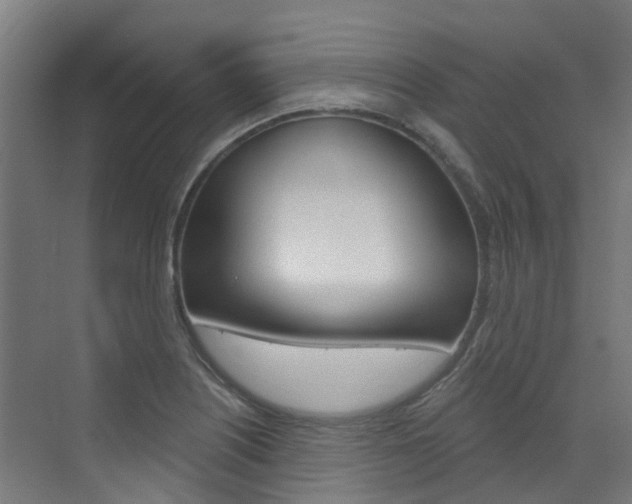 X0000072971226200607211022