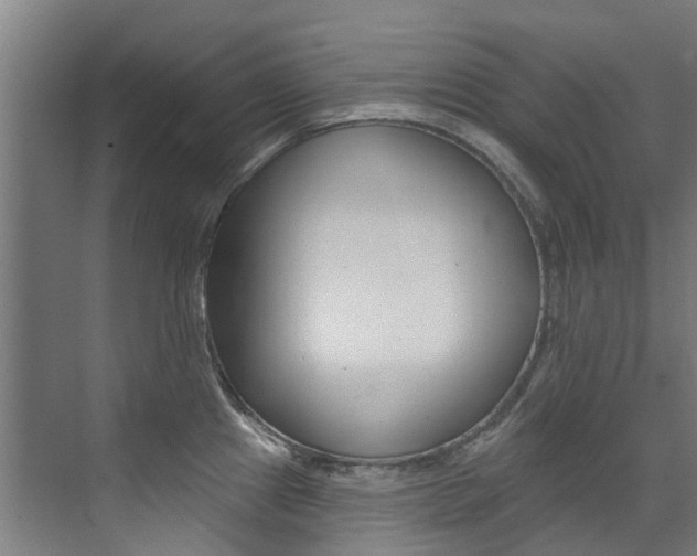 X0000072971241200607211022