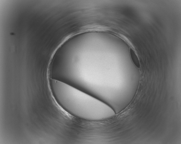 X0000072971243200607211022