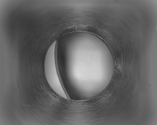 X0000072971252200607211021