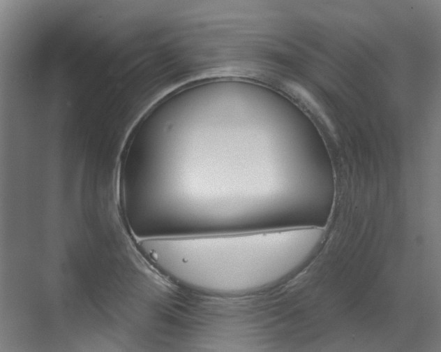 X0000072971276200607211021