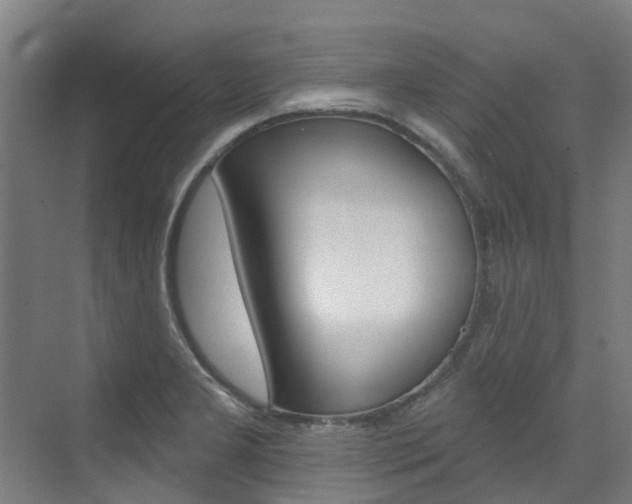 X0000072971277200607211021