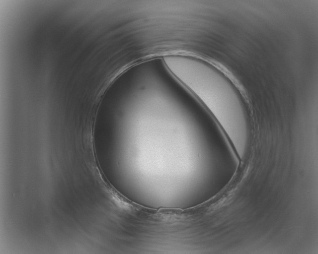 X0000072971289200607211021