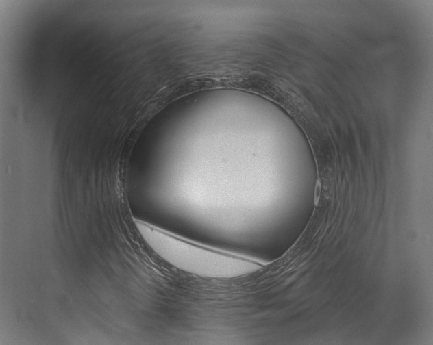 X0000072971298200607211020