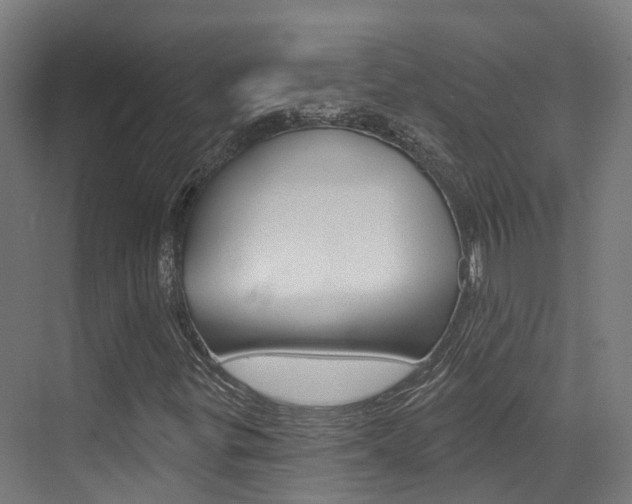 X0000072971299200607211020
