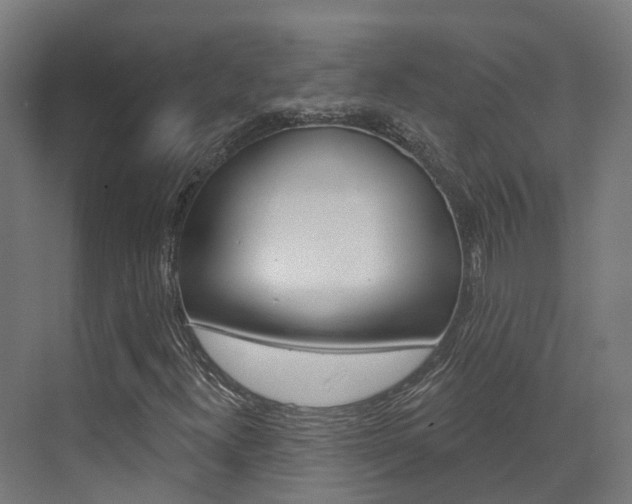 X0000072971300200607211020