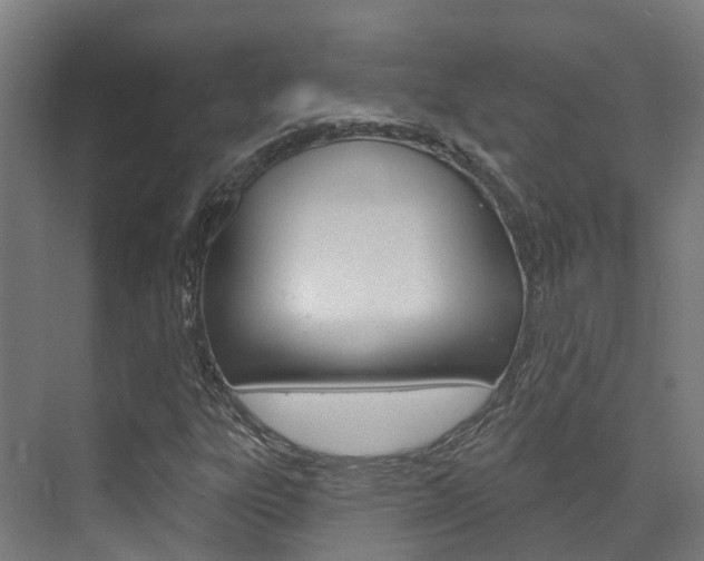 X0000072971303200607211020