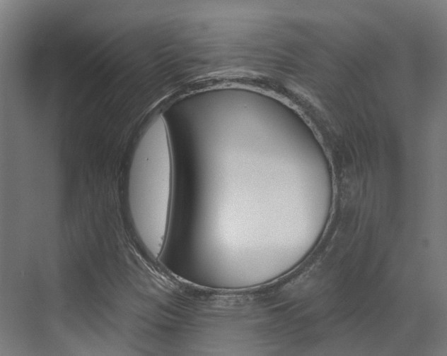 X0000072971305200607211020