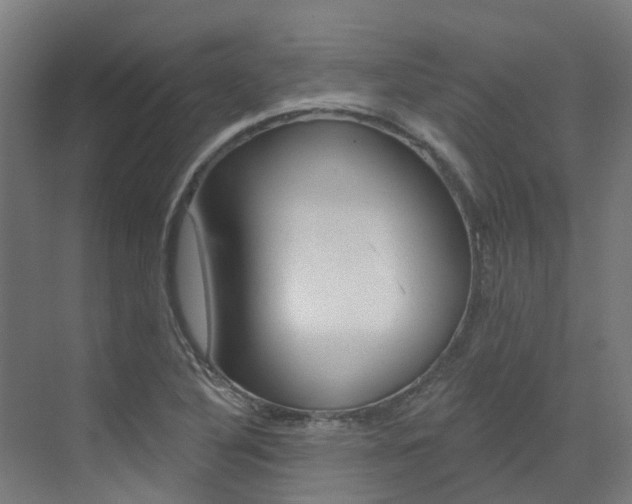 X0000072971316200607211020