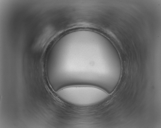 X0000072971318200607211020