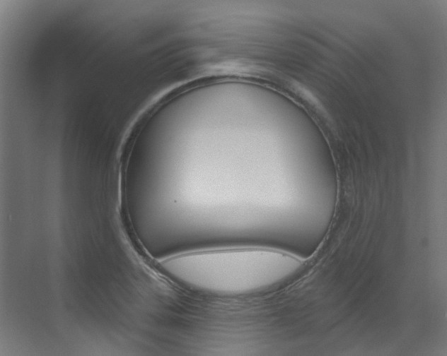 X0000072971323200607211020