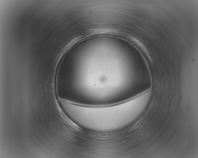 X0000072971330200607211020
