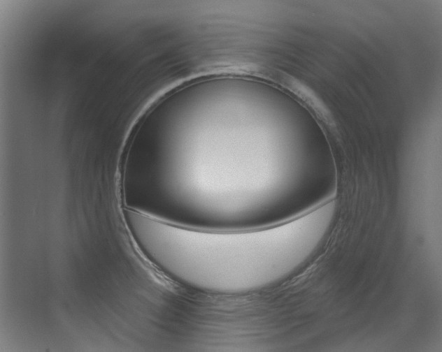 X0000072971332200607211020