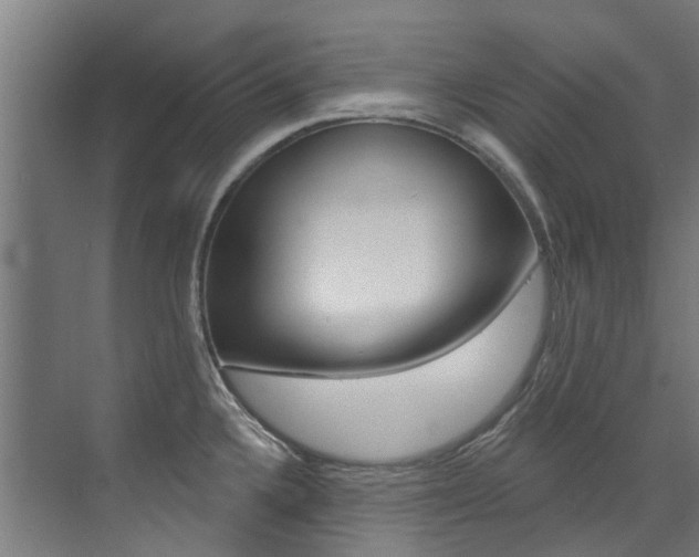 X0000072971336200607211020
