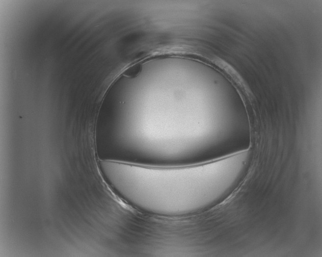 X0000072971337200607211020