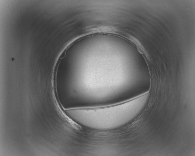 X0000072971339200607211020