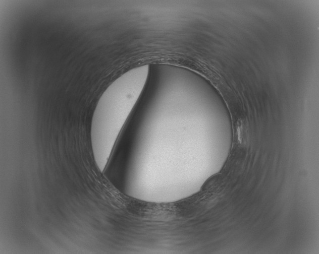 X0000072971347200607211020