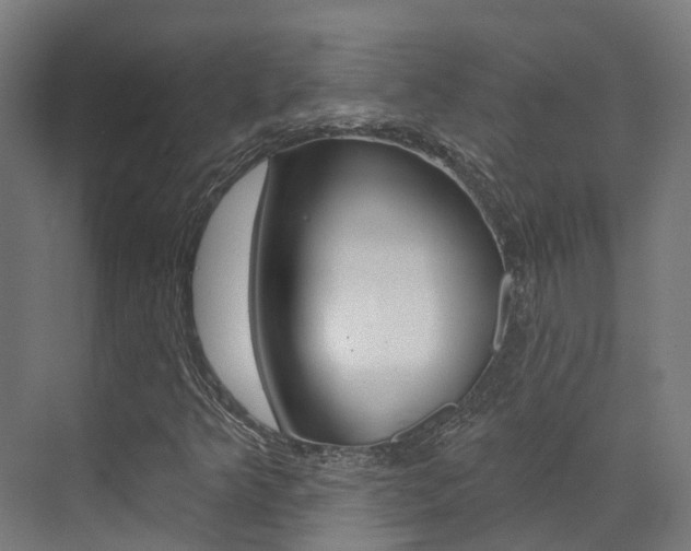 X0000072971349200607211020