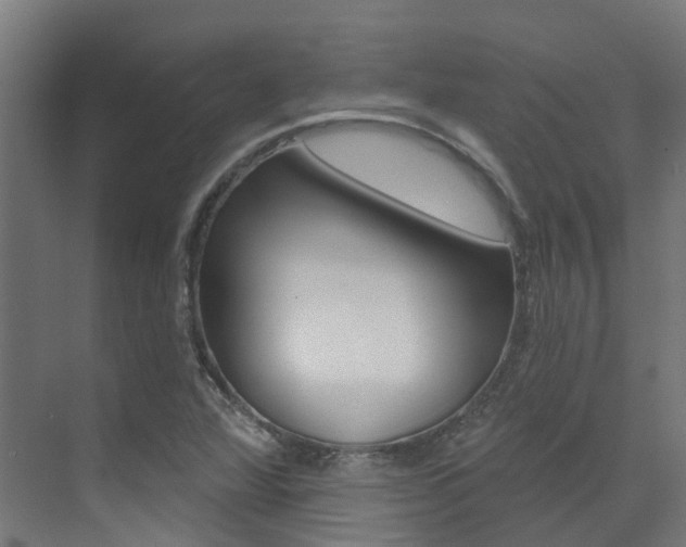 X0000072971360200607211019