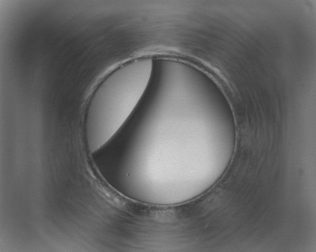 X0000072971363200607211019