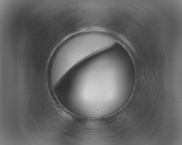 X0000072971364200607211019