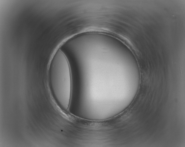 X0000072971371200607211019