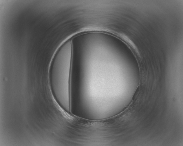 X0000072971380200607211019
