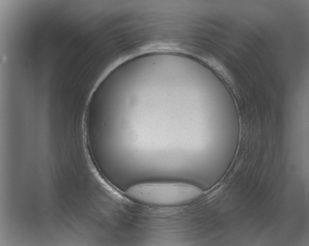 X0000072971382200607211019
