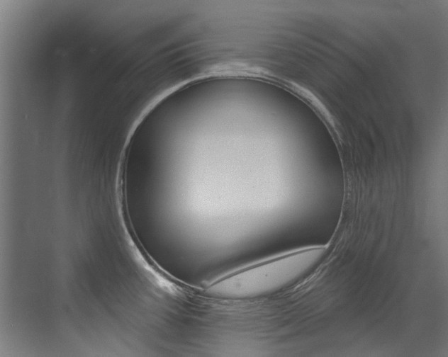 X0000072971387200607211019