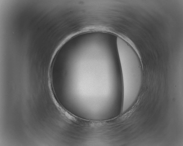 X0000072971389200607211019