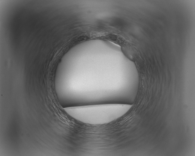 X0000072971393200607211018