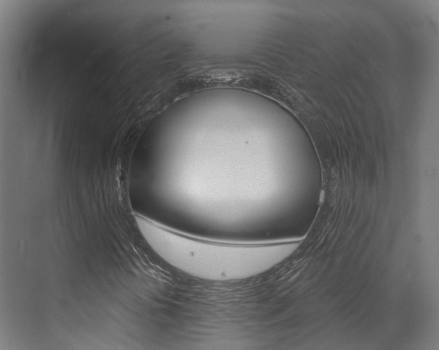 X0000072971394200607211018