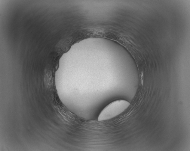 X0000072971395200607211018