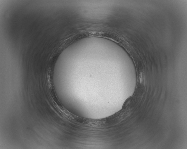 X0000072971396200607211018