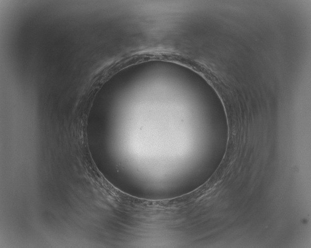 X0000072971398200607211018