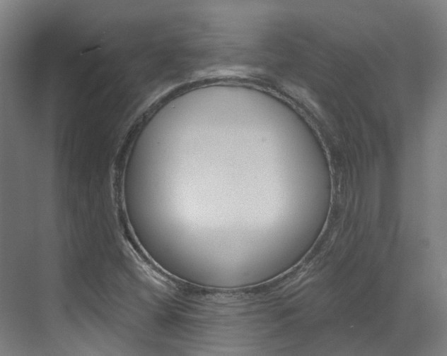 X0000072971404200607211018