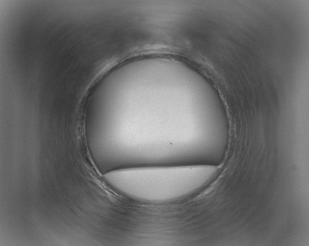 X0000072971405200607211018